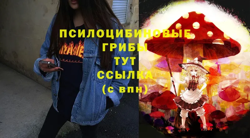 Галлюциногенные грибы MAGIC MUSHROOMS  Сортавала 